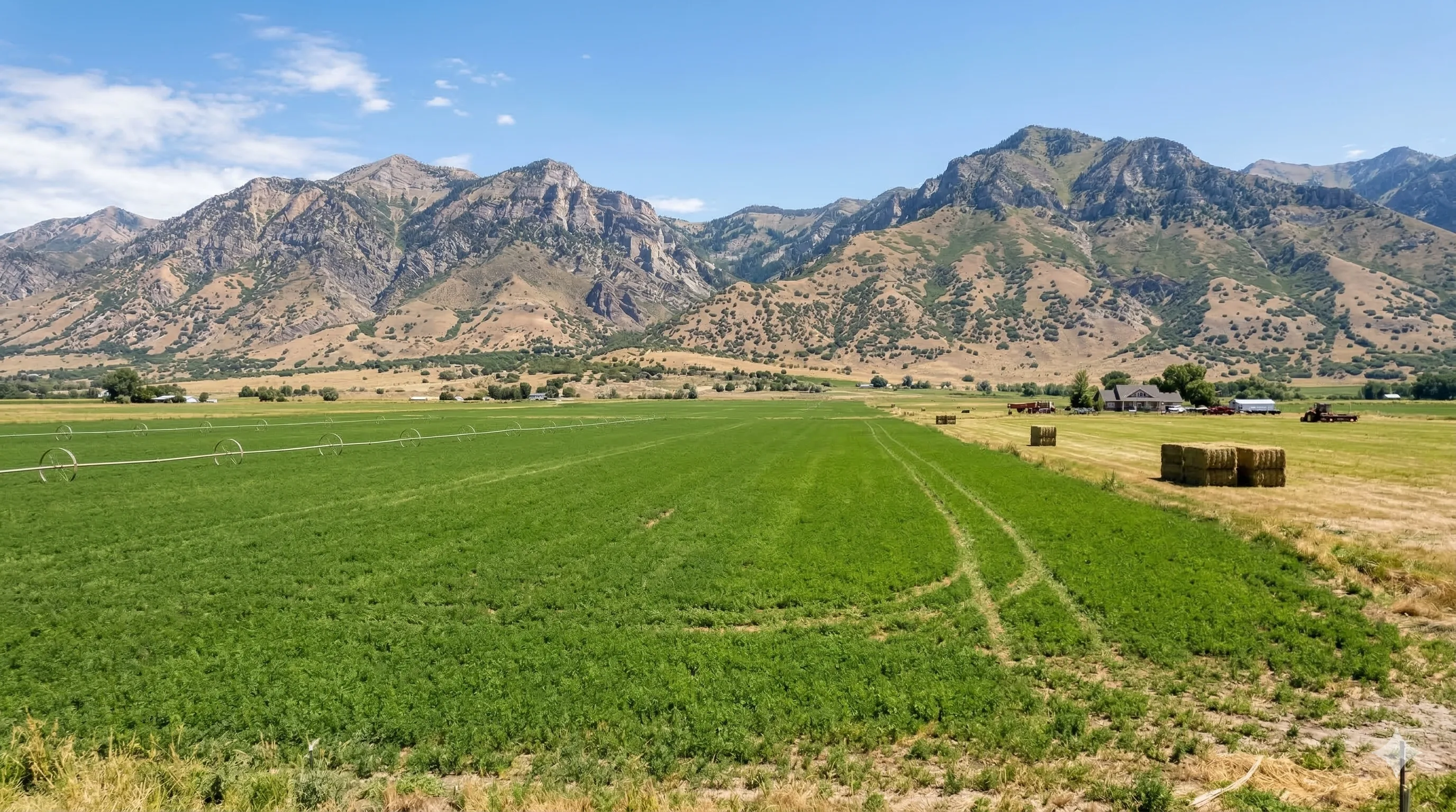 Conservacion de agua apoyada por monitoreo de humedad y desempeño del sistema de riego